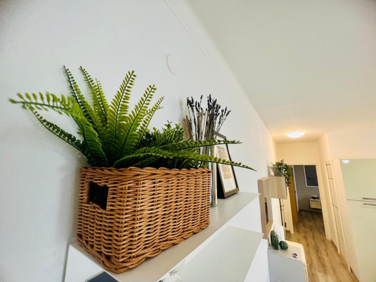 Suite Colibri - Sanremo Centro Exterior photo